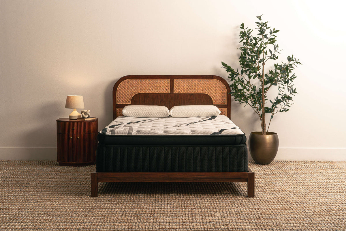 Evolutionary Jumbo Pillow Top – Lunessence Sleep