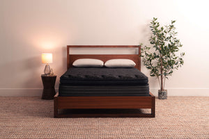 Eden Jumbo Pillow Top